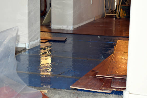 Professional Burst Pipe Cleanup technician working in Leavenworth, WA